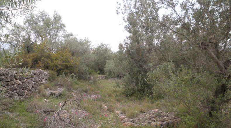 Tarragona - els Reguers - 7700m2