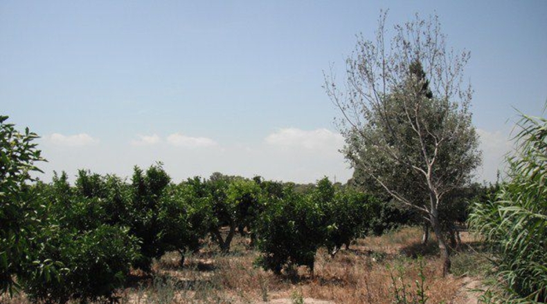 Tarragona - Tortosa - 4000m2
