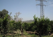 Земельный участок на продажу в городе Tortosa. Фото