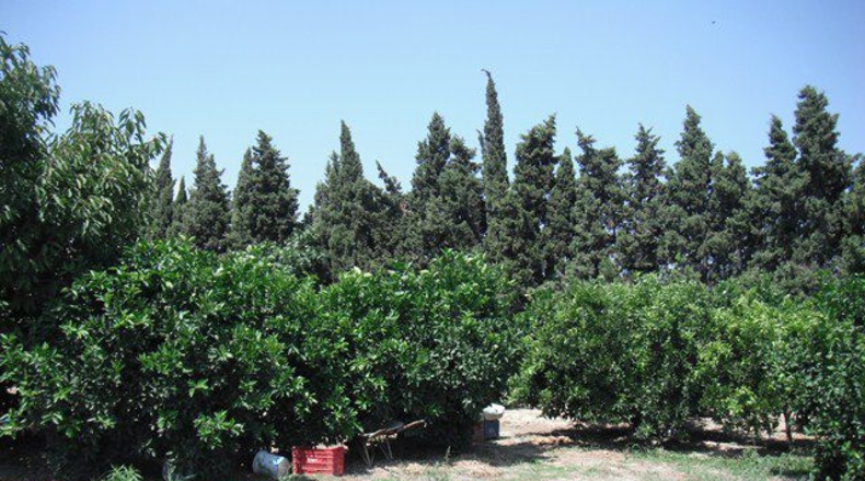 Tarragona - Tortosa - 4000m2