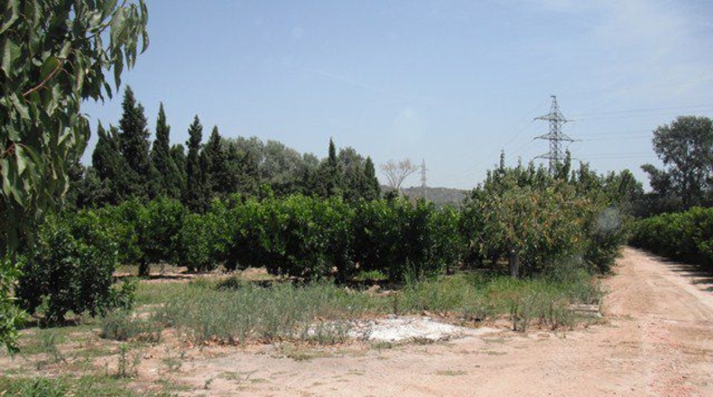 Tarragona - Tortosa - 4000m2