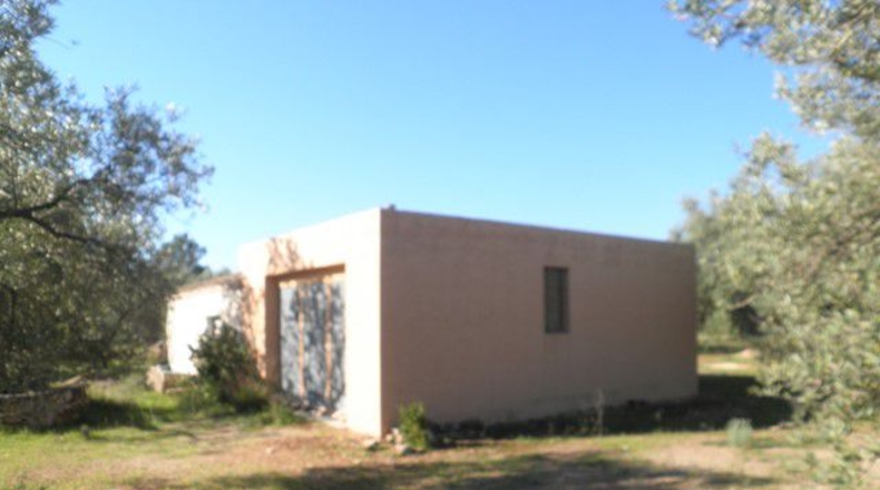 Tarragona - Xerta - 30660m2