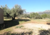 Rural estate for sale in Xerta ref: TR40930 photo