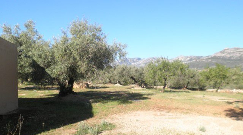 Tarragona - Xerta - 30660m2