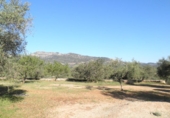 Rural estate for sale in Xerta ref: TR40930 photo