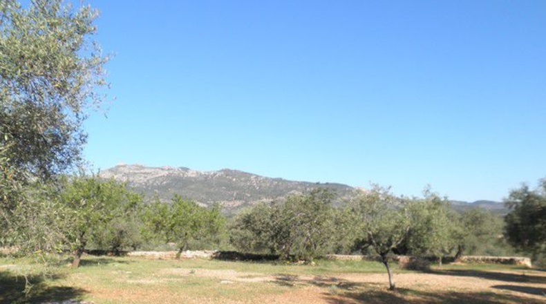 Tarragona - Xerta - 30660m2