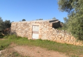 Rural estate for sale in Xerta ref: TR40930 photo
