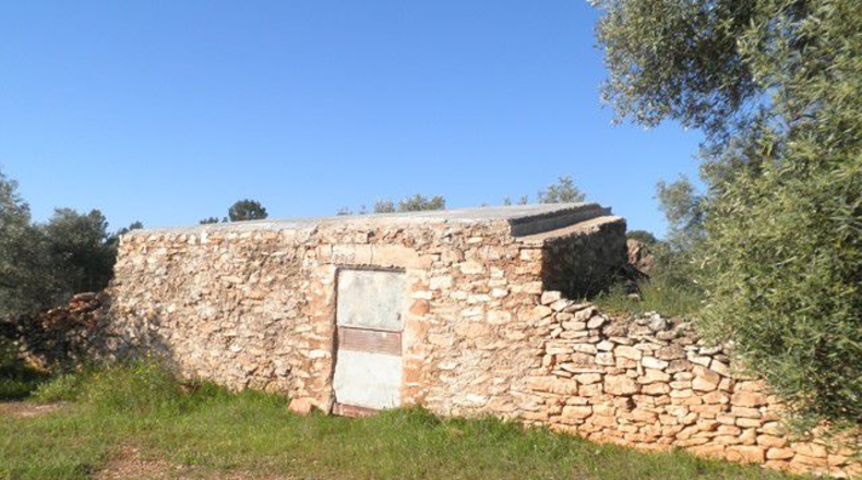 Tarragona - Xerta - 30660m2