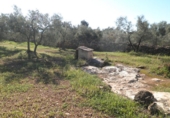 Rural estate for sale in Xerta ref: TR40930 photo