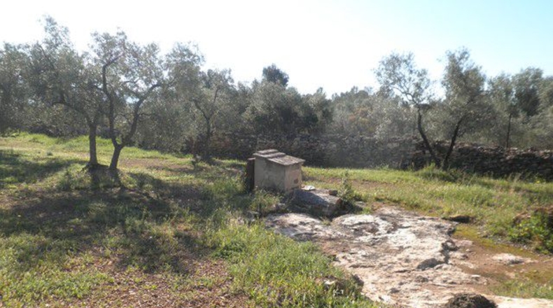 Tarragona - Xerta - 30660m2