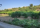 Finca rústica en venda a Tortosa ref.: TR187435 foto