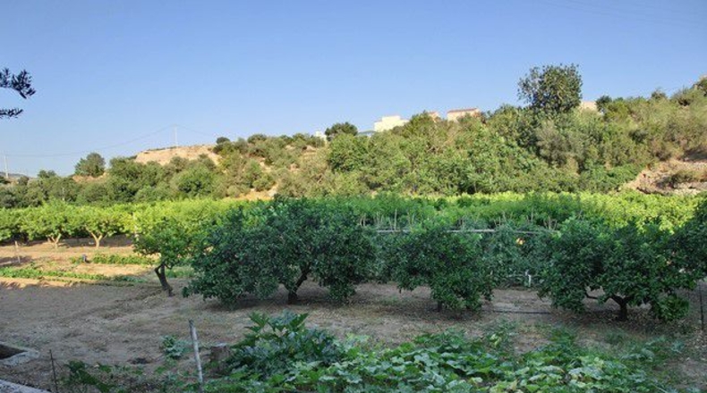 Tarragona - Vinallop - 17824m2