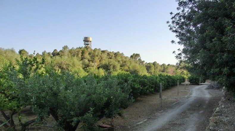 Tarragona - Vinallop - 17824m2