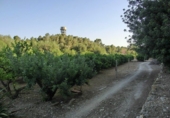 Finca rústica en venda a Tortosa ref.: TR187435 foto