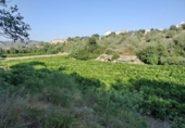 Finca rústica en venda a Tortosa ref.: TR187435 foto