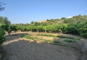 Finca rústica en venda a Tortosa ref.: TR187435 foto