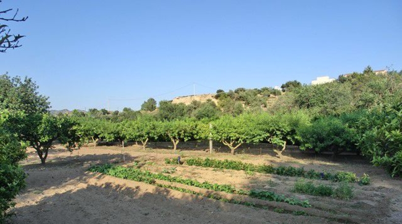 Tarragona - Vinallop - 17824m2