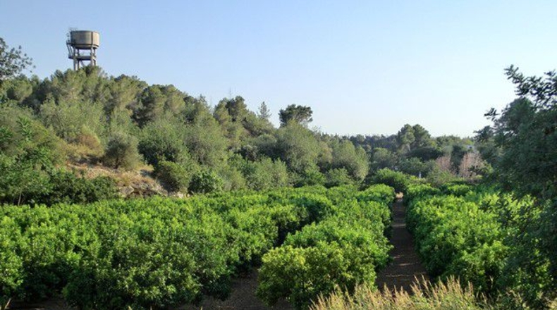 Tarragona - Vinallop - 17824m2