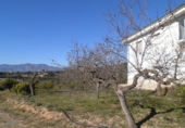 Отдельно стоящий дом с участком на продажу в городе Tortosa. Фото