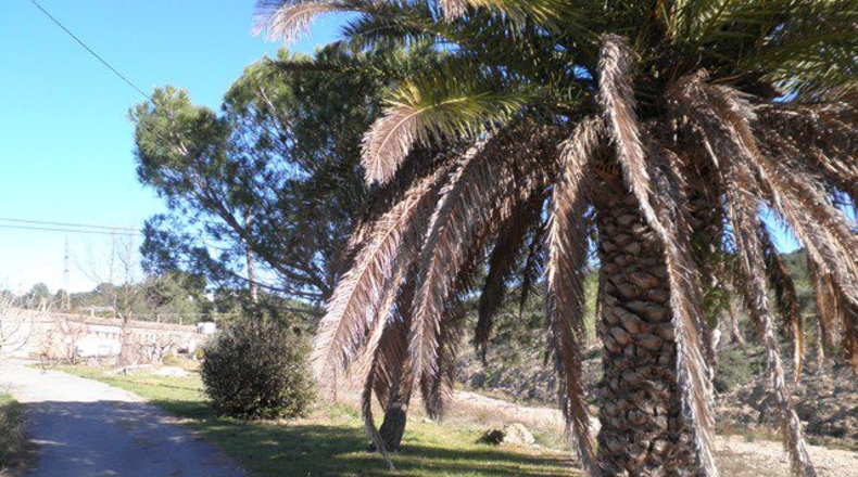 Tarragona - Tortosa - 200m2
