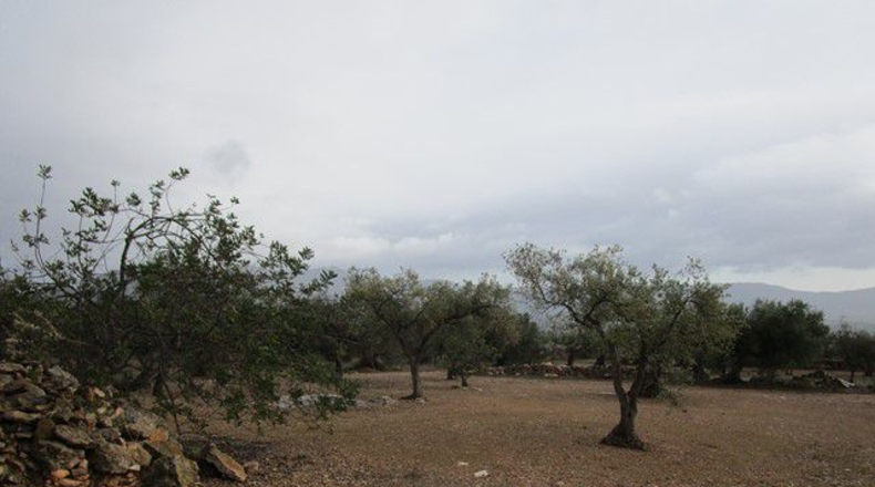 Tarragona - Alfara de Carles - 15260m2