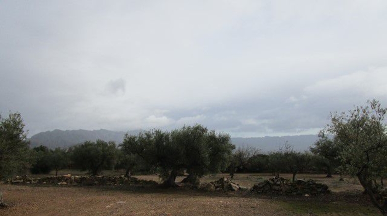 Tarragona - Alfara de Carles - 15260m2