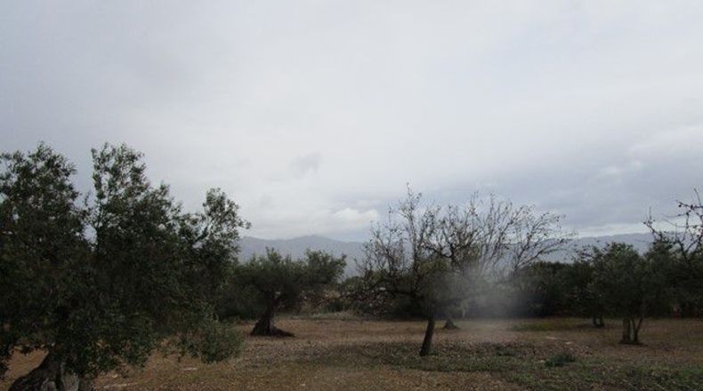 Tarragona - Alfara de Carles - 15260m2