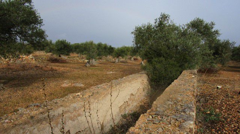 Tarragona - Alfara de Carles - 15260m2