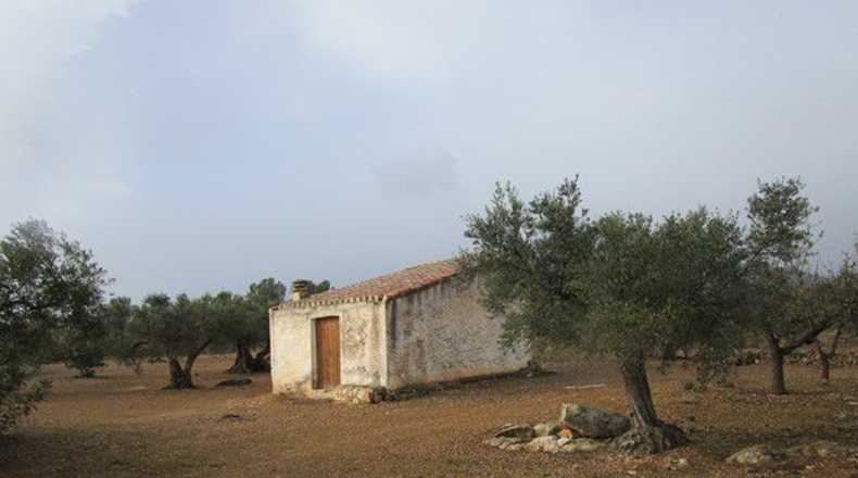 Tarragona - Alfara de Carles - 15260m2