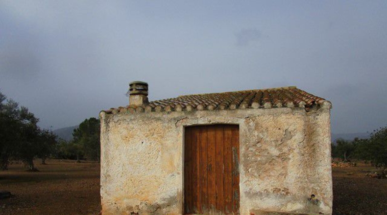 Tarragona - Alfara de Carles - 15260m2