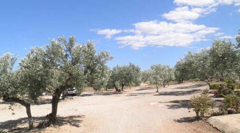 Tarragona - Raval de Crist - 4300m2
