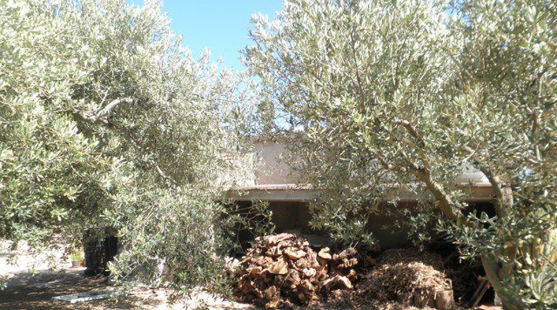 Tarragona - Raval de Crist - 4300m2