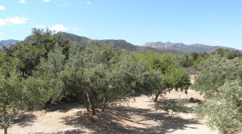 Tarragona - Raval de Crist - 4300m2