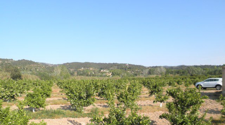 Tarragona - Tortosa - 43800m2