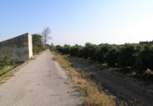 Terreno no urbanizable en venta en Tortosa ref: TR36560 foto