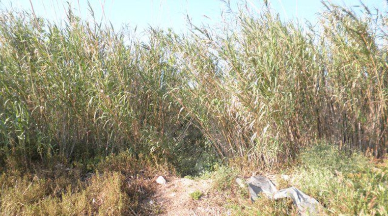 Tarragona - Tortosa - 43800m2