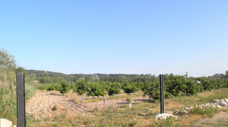 Tarragona - Tortosa - 43800m2