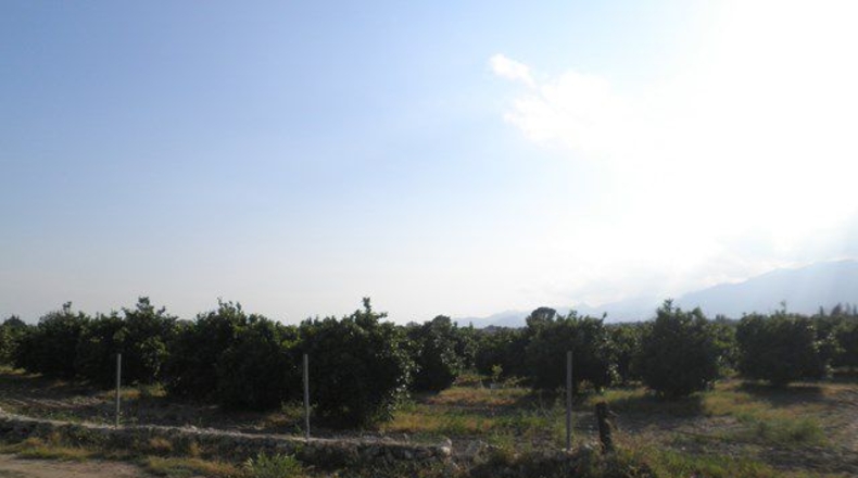 Tarragona - Tortosa - 43800m2