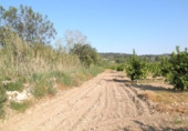 Terreno no urbanizable en venta en Tortosa ref: TR36560 foto