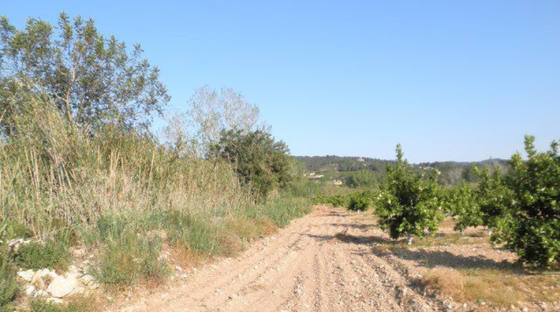 Tarragona - Tortosa - 43800m2
