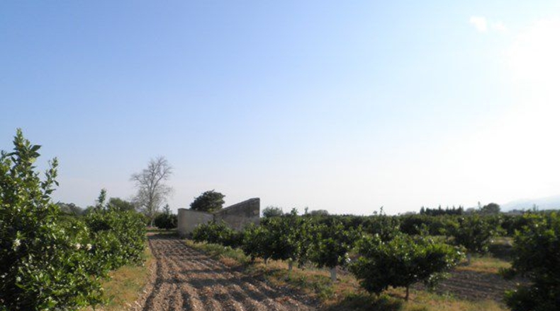 Tarragona - Tortosa - 43800m2