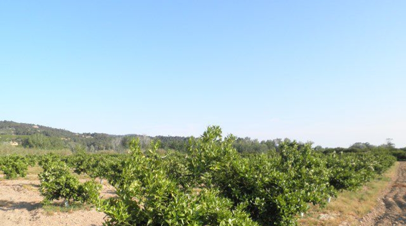 Tarragona - Tortosa - 43800m2