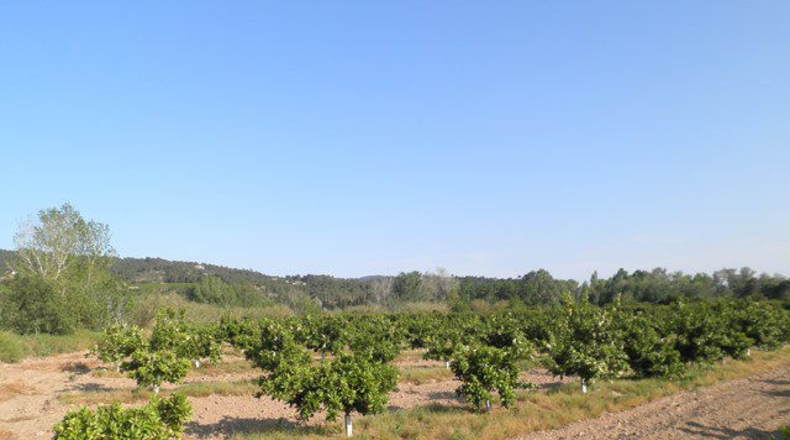 Tarragona - Tortosa - 43800m2