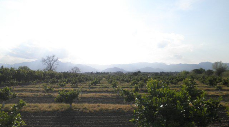 Tarragona - Tortosa - 43800m2
