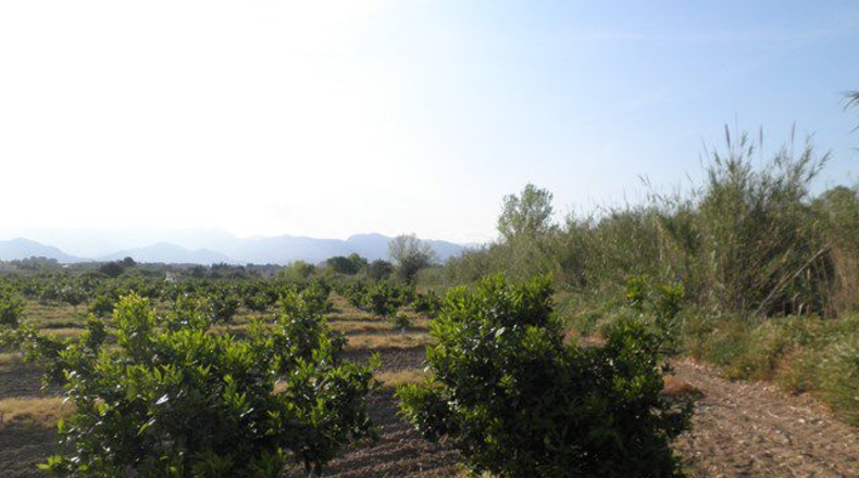 Tarragona - Tortosa - 43800m2