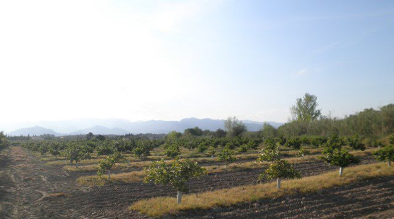 Tarragona - Tortosa - 43800m2