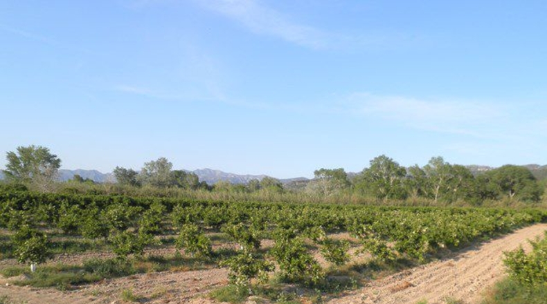 Tarragona - Tortosa - 43800m2