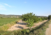 Terreno no urbanizable en venta en Tortosa ref: TR36560 foto