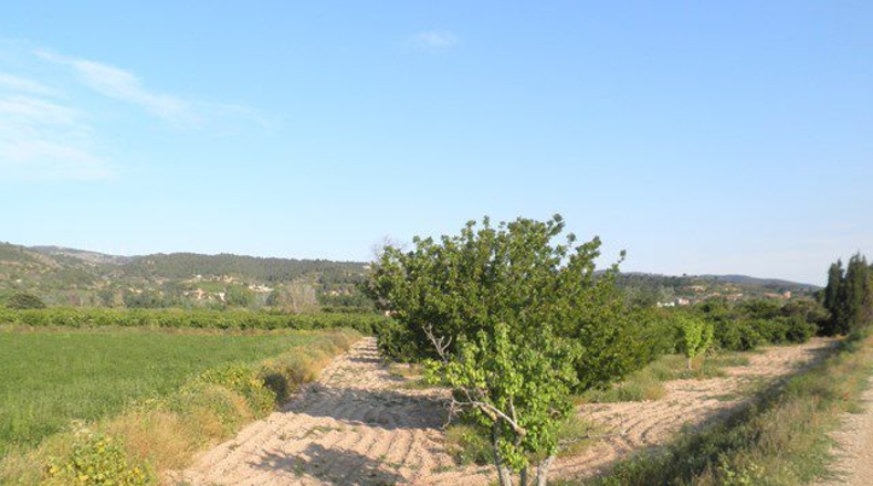 Tarragona - Tortosa - 43800m2