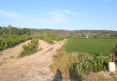 Terreno no urbanizable en venta en Tortosa ref: TR36560 foto